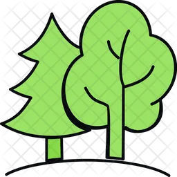 Trees  Icon