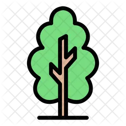 Trees  Icon