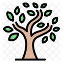 Trees Nature Forest Icon