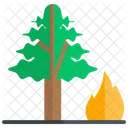 Trees and Climate Interplay  Icon