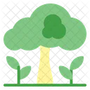 Trees And Plant Icon