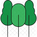 Trees  Icon