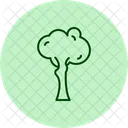 Trees Nature Forest Icon