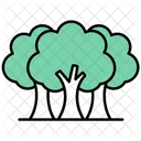 Trees Nature Forest Icon