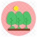 Trees Plants Nature Icon