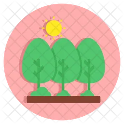 Trees  Icon