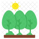 Trees Plants Nature Icon