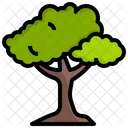 Trees  Icon