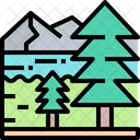 Trees Tree Forest Icon