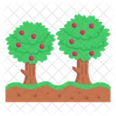 Trees  Icon