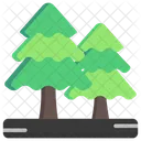 Trees  Icon