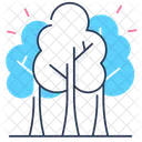 Trees  Icon