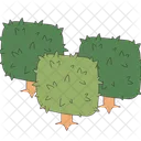 Trees With Square Crowns Square Shaped Tree Summer Forest Plants Icon
