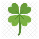 Trefle Irlandais Trefle Icône