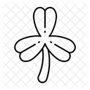  Icône