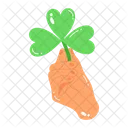 Trefoil Leaf  Icon