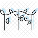 Trellis With Vines Trellis Vines Icon