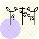 Trellis With Vines Trellis Vines Icon
