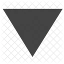 Triangle Arrow Bottom Icon
