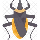 Triatominae Bugs Chagas Icon
