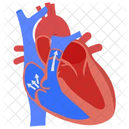 Tricuspid valve regurgitation  Icon