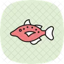 Triggerfish Ocean Marine Icon