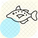 Triggerfish Ocean Marine Icon