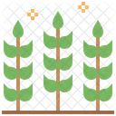Trigo Cereais Sementes Ícone