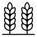 Trigo Cebada Tallos Icono