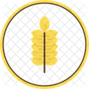 Trigo  Icon