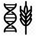 Trigo Nao Transgenico Trigo Dna Gluten De Trigo Ícone