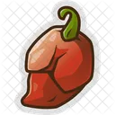 Chili Spicy Hot Icon