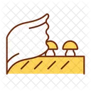 Tripa de cogumelo  Icon