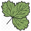 Tripartite Leaf Leaf Foliage Icon
