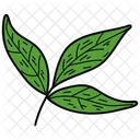 Tripartite Leaf Leaf Foliage Icon