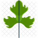 Tripinnate Greenery Leaf Icon