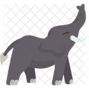 Pregonar Elefante Fauna Icon