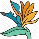 Tropical Flower Exotic Icon
