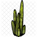 Cactus Dry Climate アイコン