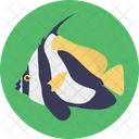 Tropical Fish Aquatic Icon