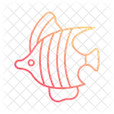 Tropical Fish Fish Freshwater Fish Icon