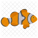 Tropical Fish Marine Fish Coral Fish Icon