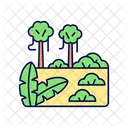 Tropical Forest Rainforest Icon