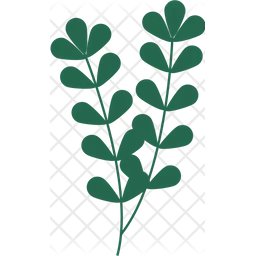 Tropical Green Leaf  Icon