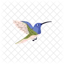 Tropical Bird Vector Icon
