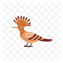 Tropical Hoopoe Bird Icon