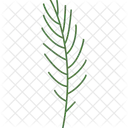 Tropical Leaf  Icon