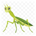 Praying Mantis Icons Cute Mantis Mantodea Icon