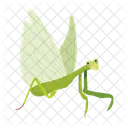 Praying Mantis Icons Cute Mantis Mantodea Icon