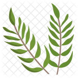 Tropical Palm  Icon